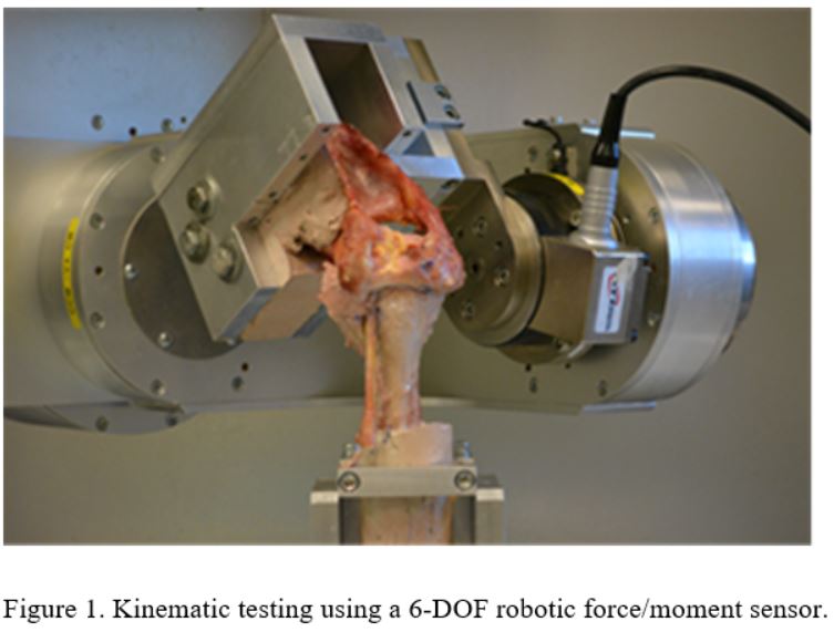 robot testing shoulder joint