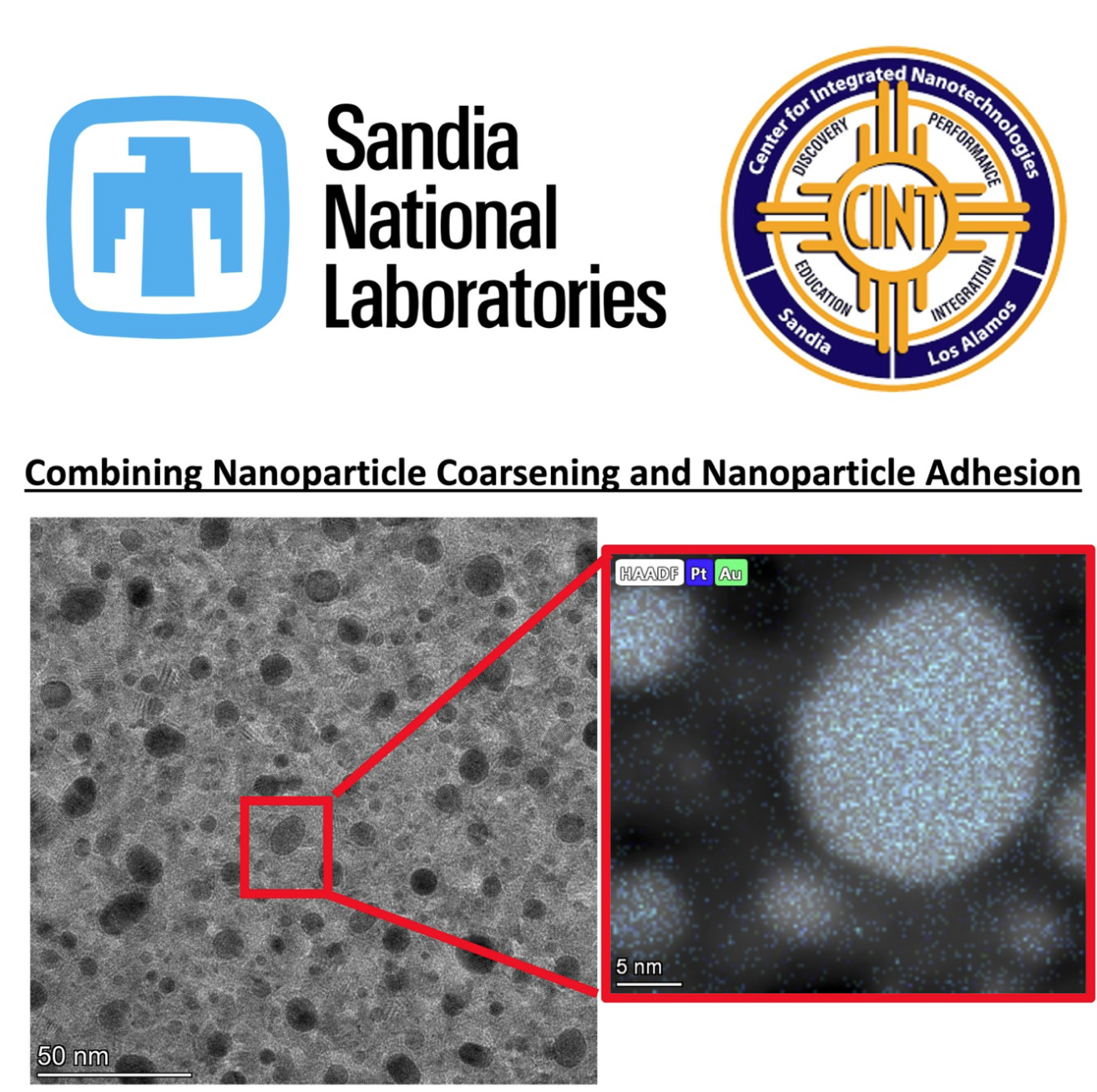 Combining Nanoparticle Coarsening and Nanoparticle Adhesion