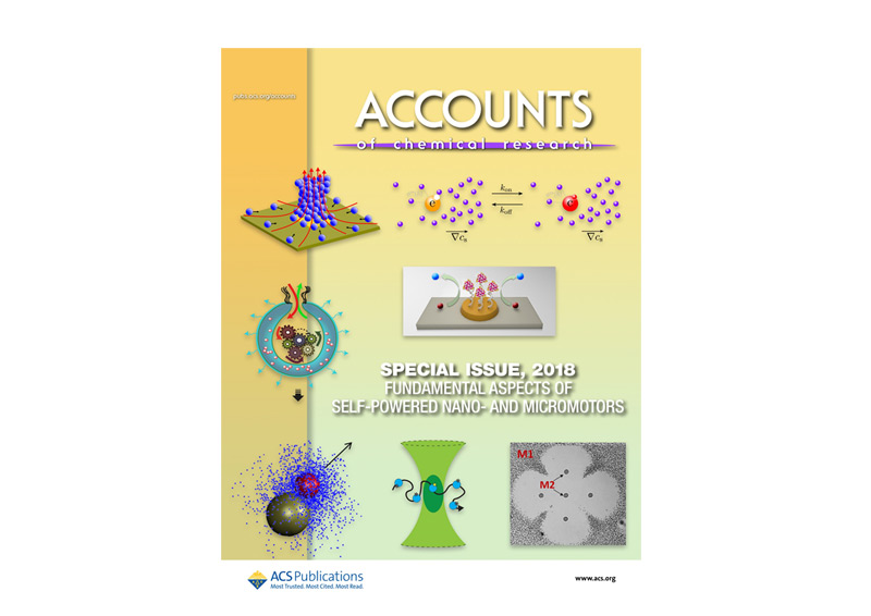 Accounts of chemical research publication 2018