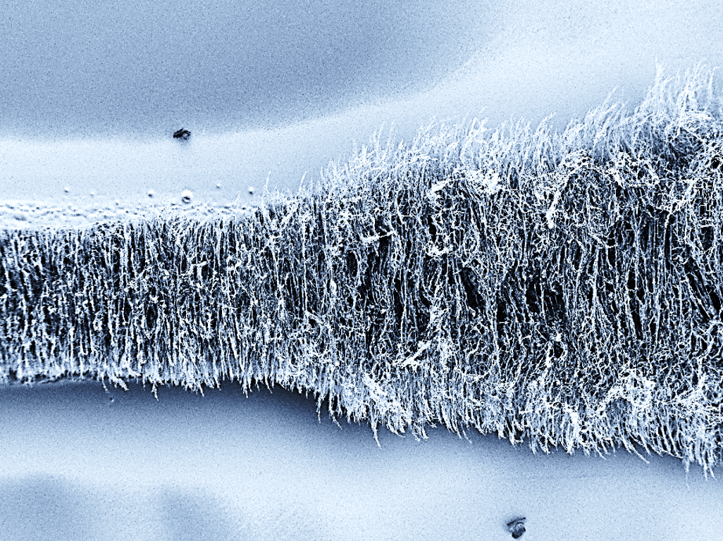 An electron microscopy image of a Laser-Induced NanoCarbon (LINC) at a magnification of 250 times.  It shows how a gradient of laser parameters can be engineered to tailor the morphology and properties of three-dimensional porous graphene-based material used for functional microelectrodes. The moving laser sculpts a seamless transition between an electrically conducting LINC to a more resistive fibrous morphology. Small spikes seen here are a thousand time smaller than a human hair.