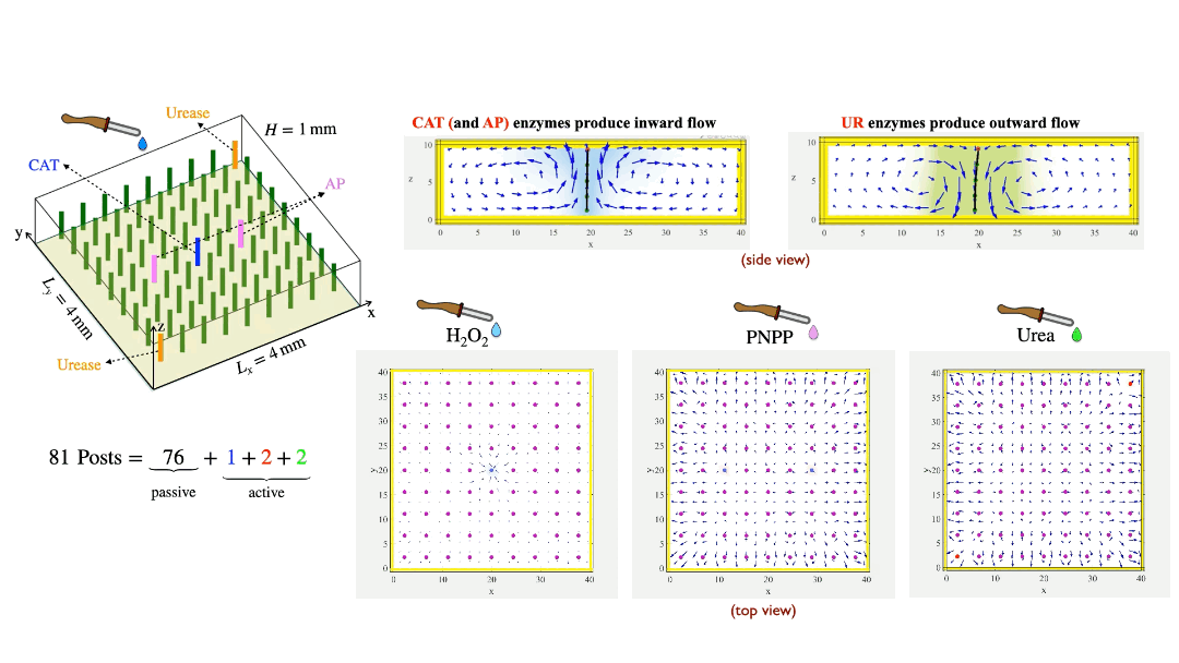 1_patterns 1_patterns