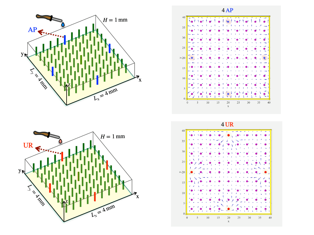 2_patterns 2_patterns