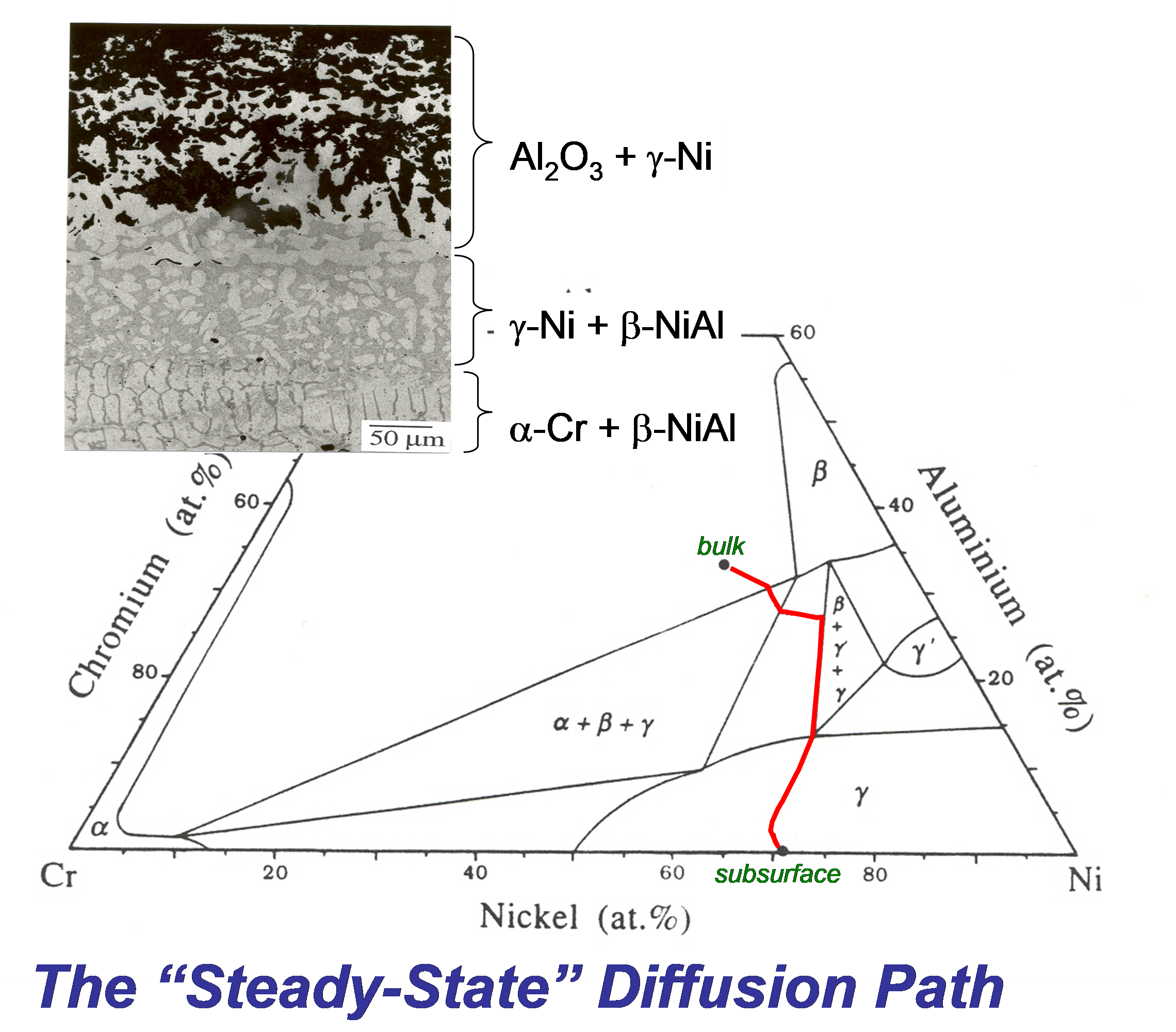 Evaluating metallurgical changes and their kinetics under high temperature diffusion mechanisms.