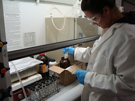 A technician working in a lab