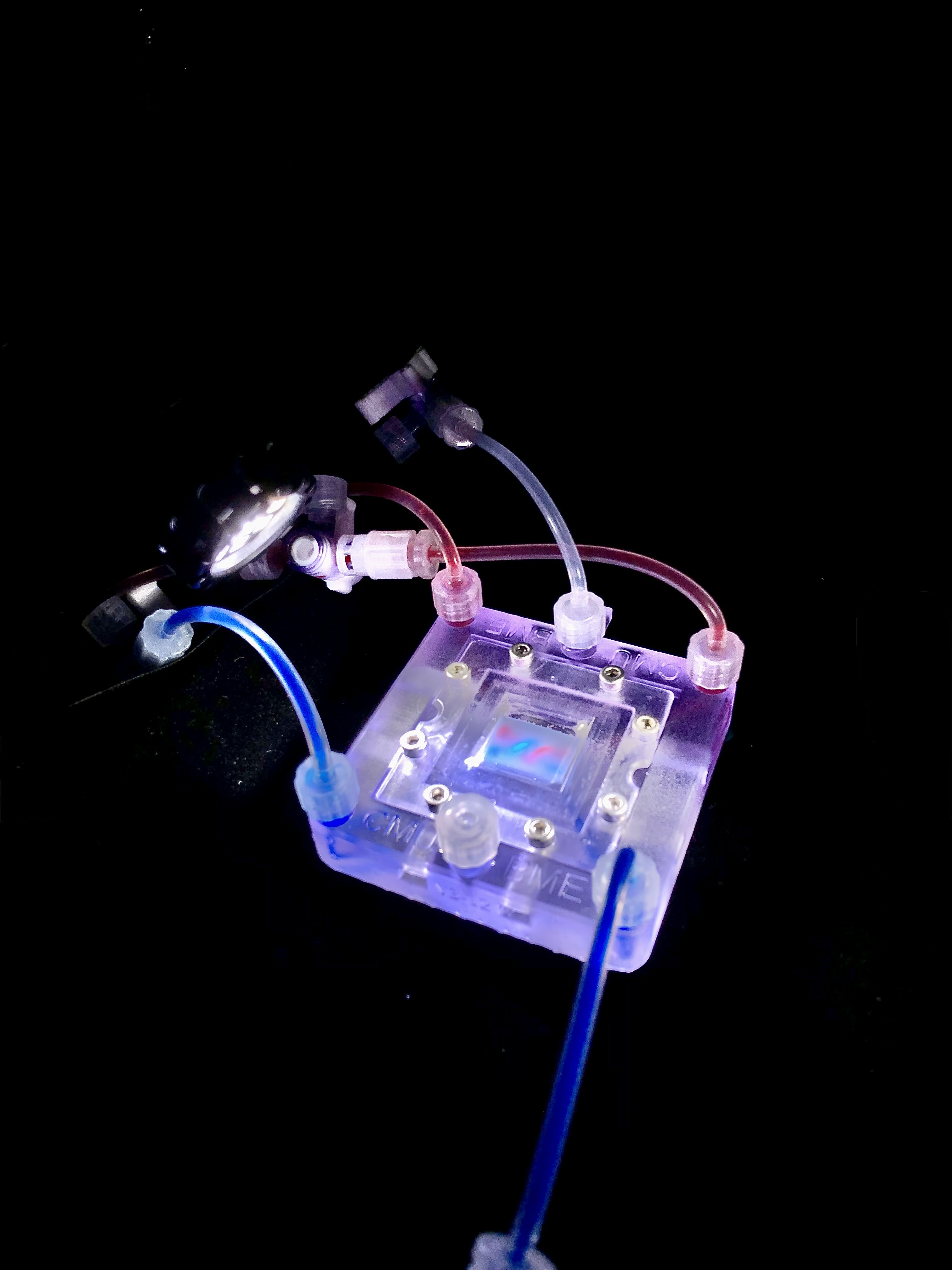 ONLINE COVER A collagen-based 3D-bioprinted tissue scaffold perfused within a 3D printed bioreactor to achieve vascular-like nutrient delivery in engineered tissues. Previous designs posed bioengineering challenges as they traditionally used plastic and elastomers that are stiff and difficult to engineer. Shiwarski et al. developed a 3D bioprinting method to create soft, living tissues that develop internal vascular networks. They printed pancreatic tissues that can sense glucose and release insulin, potentially transforming treatments for type 1 diabetes and human organ manufacturing