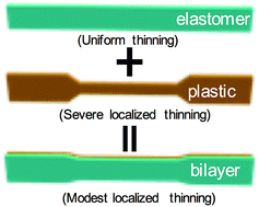 elastomer layer with uniform thinning added to plastic equals bilayer with modest localized thinning