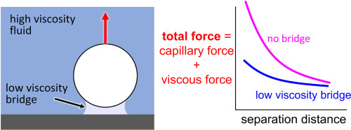 high viscosity fluid and low viscosity bridge illustration with total force and separation distance