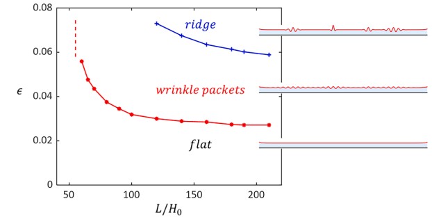 ridge, wrinkle packets and flat line graph