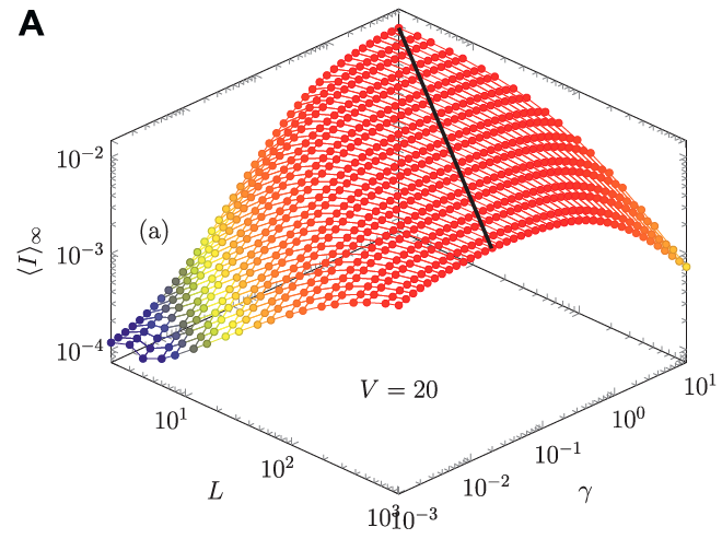 Exact steady-state current as a function of system size 