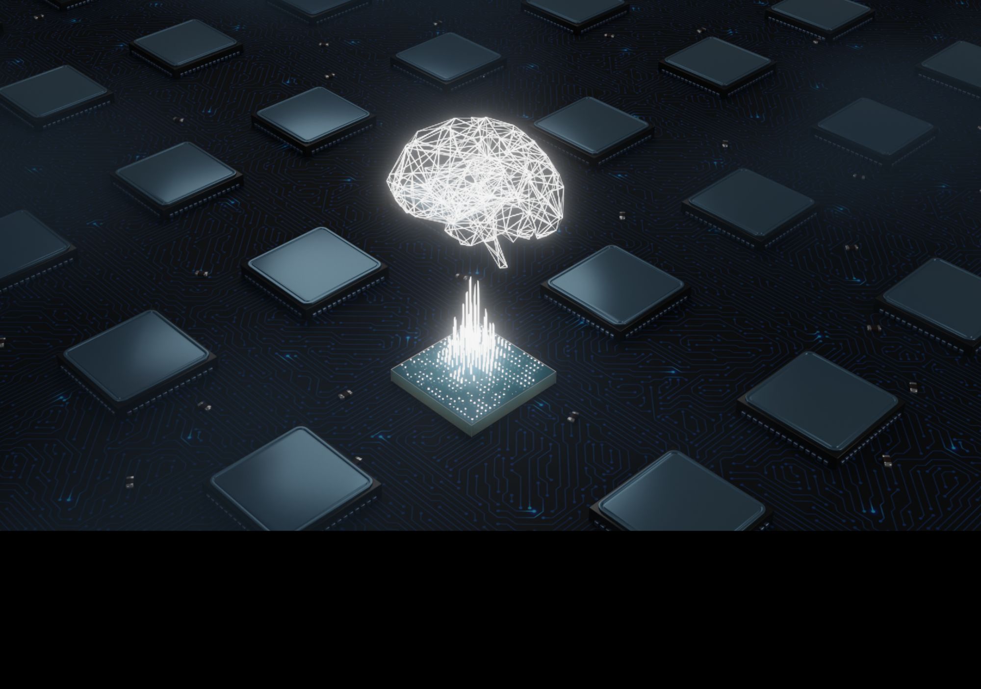 Large Scale Neuromorphic Computing