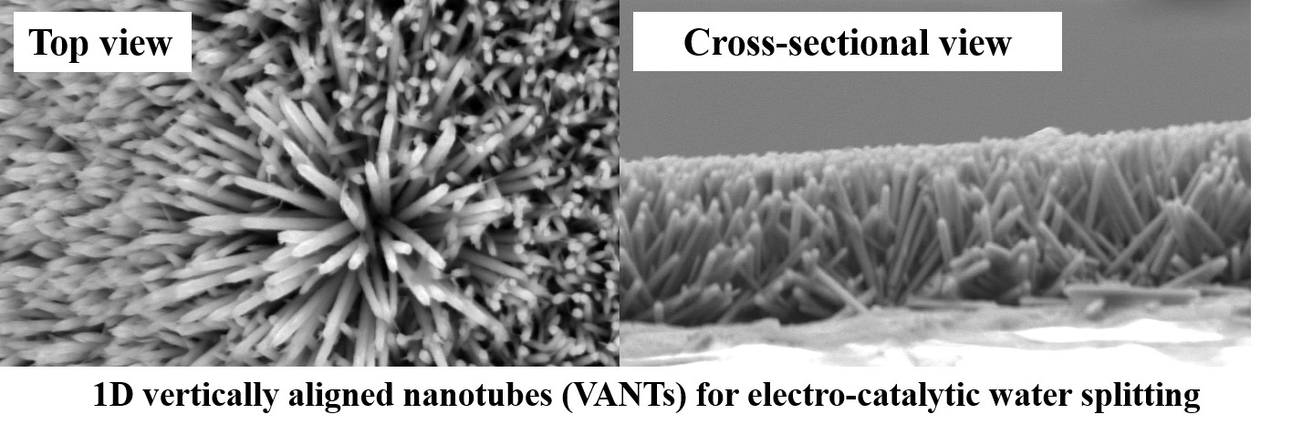 1D vertically aligned nanotubes