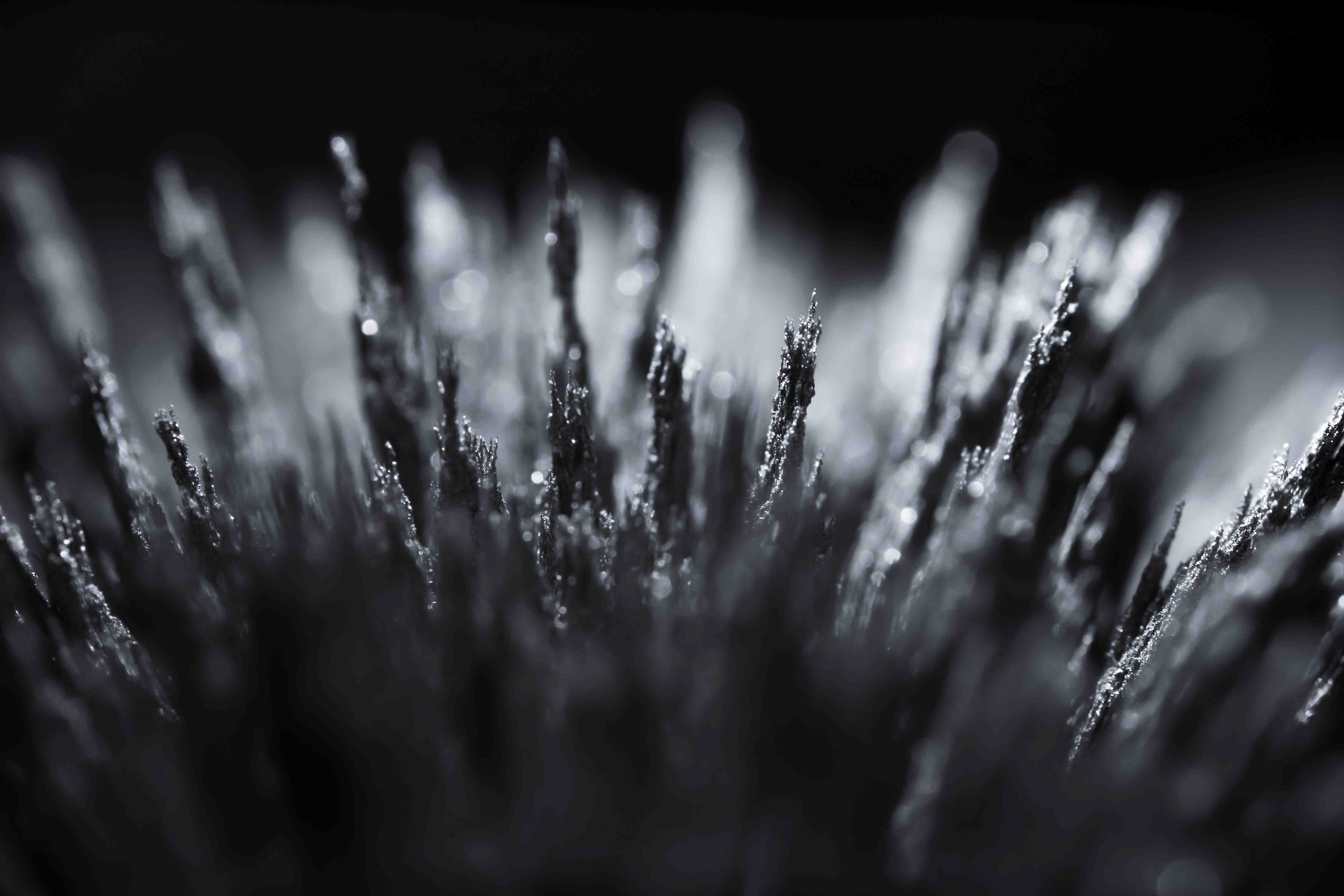 Reaction of iron dust to a magnetic field. Iron filings spikes. Neodymium magnet. Isolated on a black background.