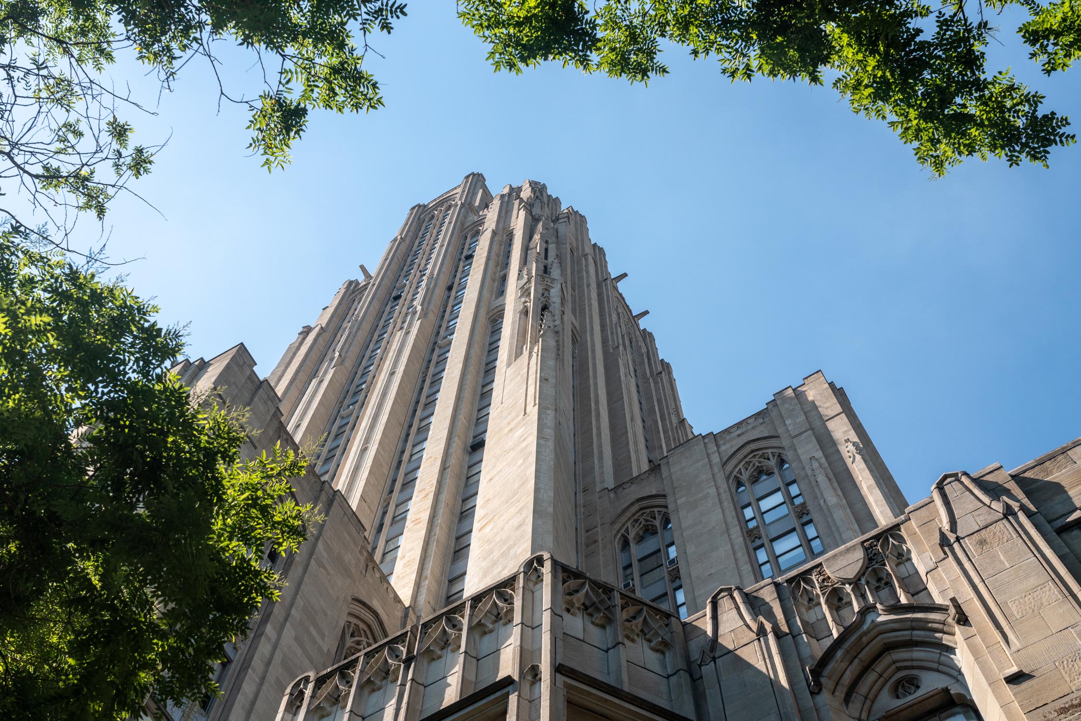 The cathedral of learning