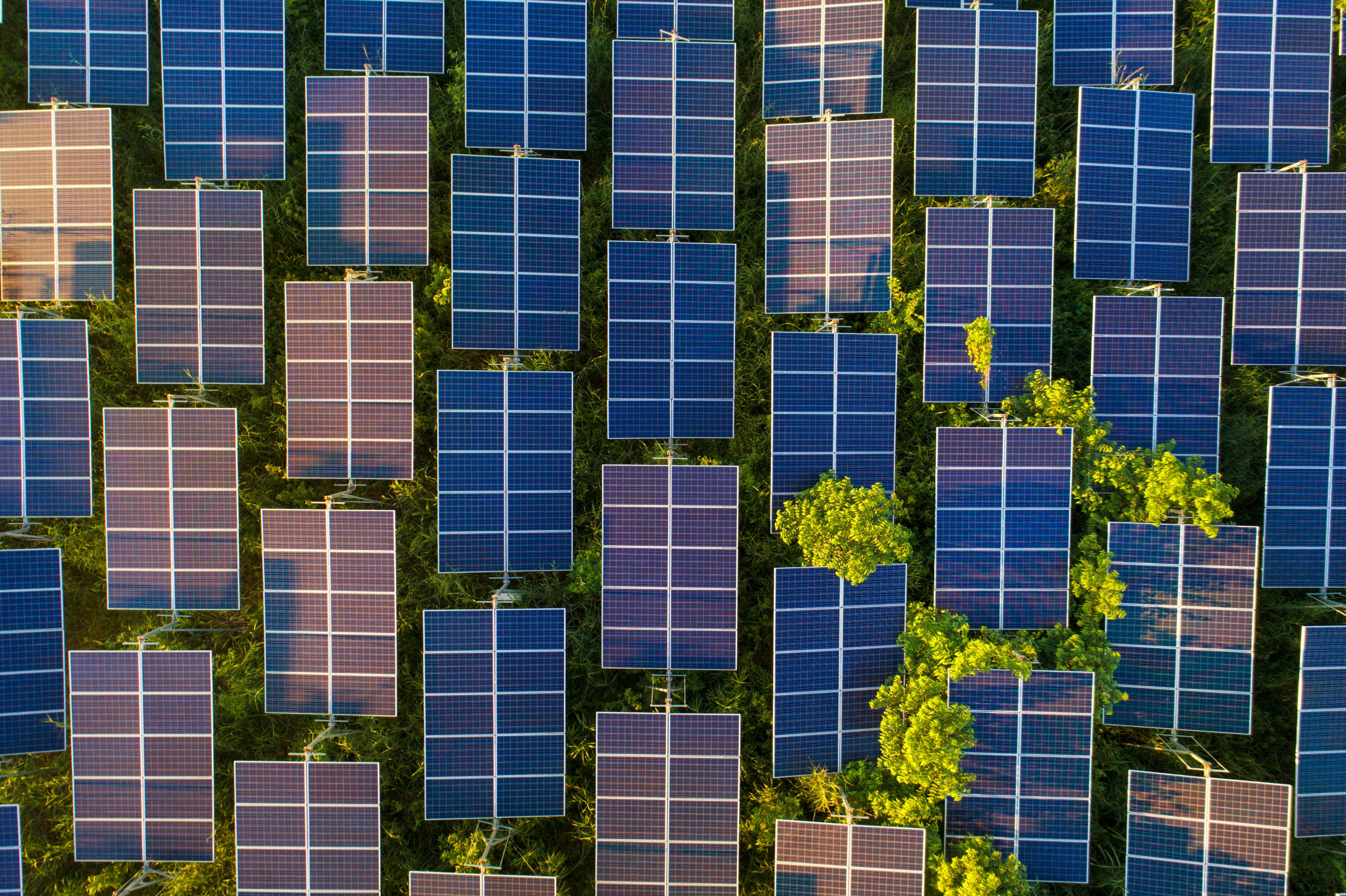 Top view of solar panels (solar cell) in solar farm 