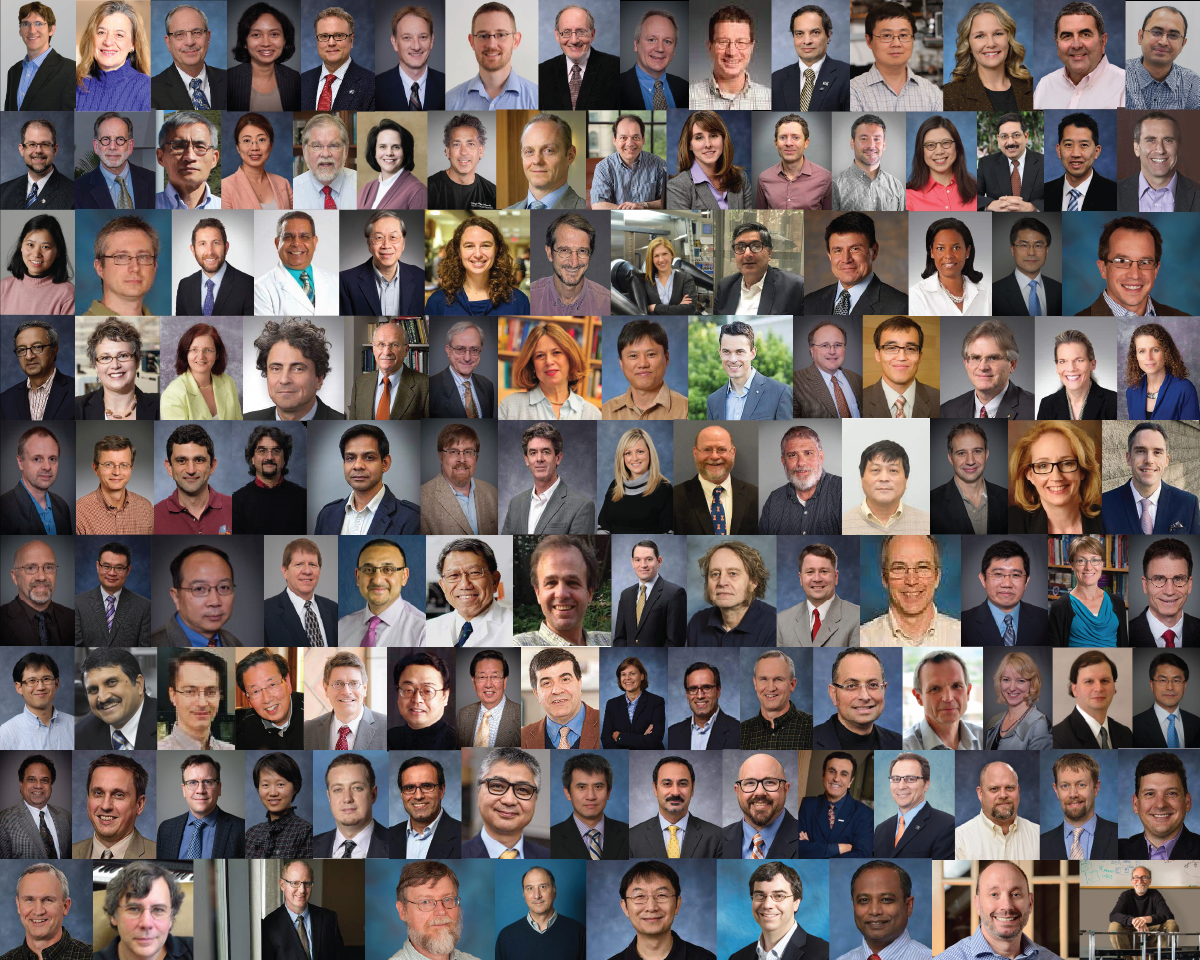 collage of SENIOR FACULTY MENTORS