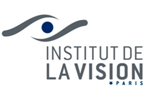 Institut de la vision Paris logo