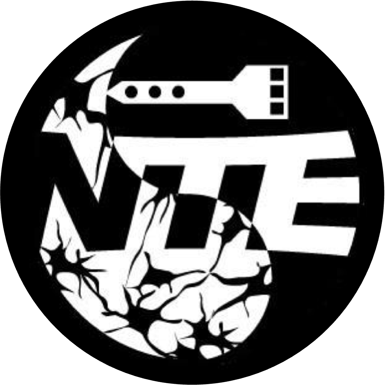 NTE Lab logo