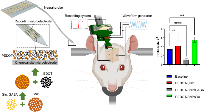  Implantation of neural probe in In vivo experiment illustration  