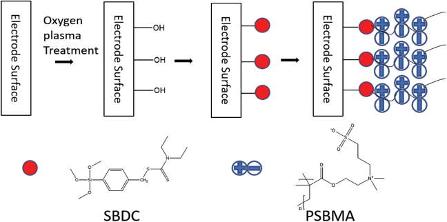 Schematic demonstration of procedures on coating zwitterionic polymer. Yang et al 2020.