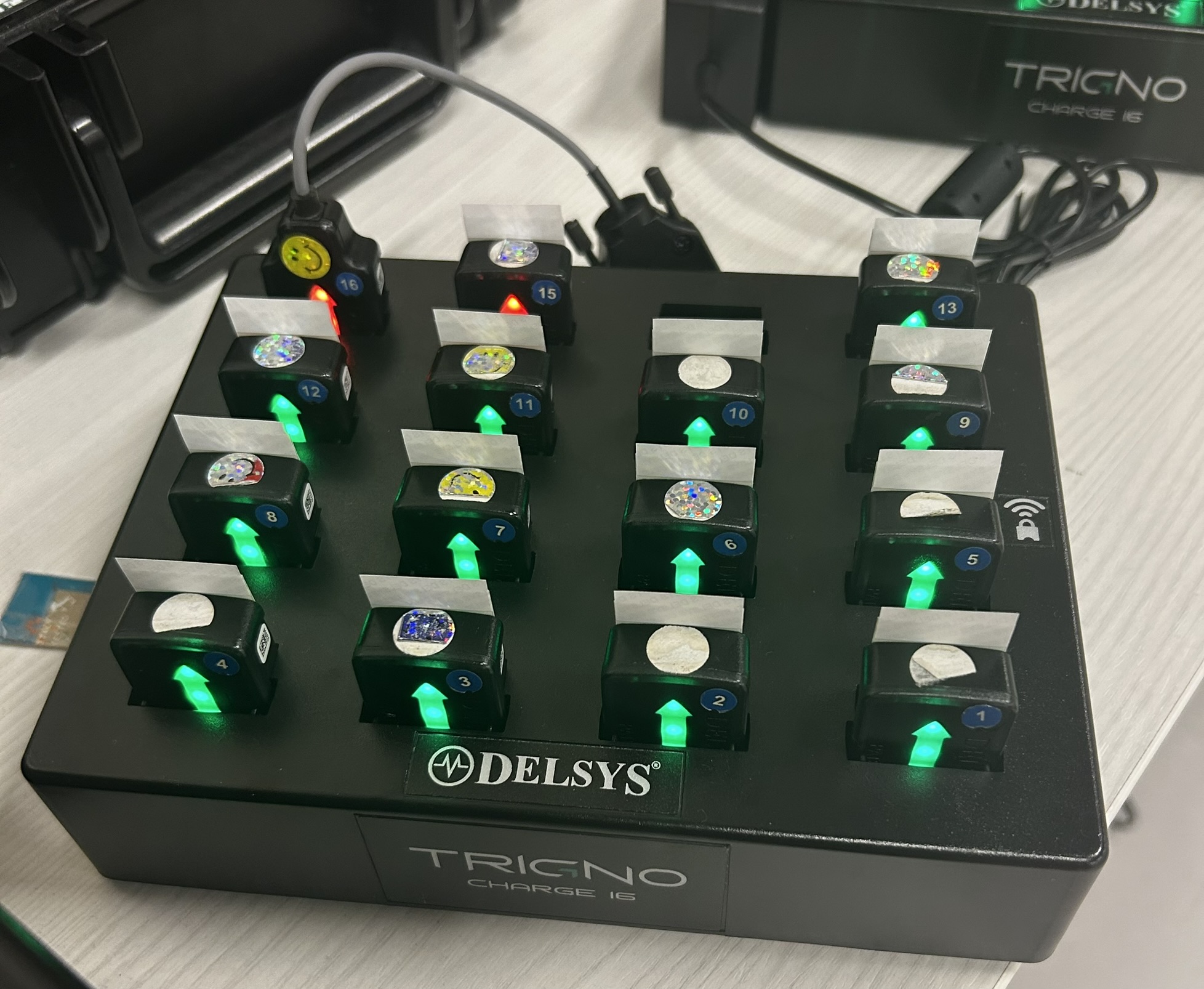 wireless sEMG system (Delsys)